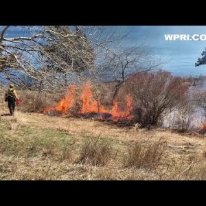 VIDEO NOW: DEM conducts controlled burn on part of Dutch Island