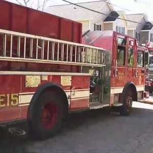 13 displaced, cats missing in Providence house fire