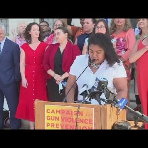 Local lawmakers rally to push for gun safety legislation