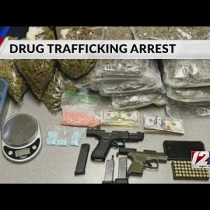 Police: Suspected drug dealers hid fentanyl under pit bull