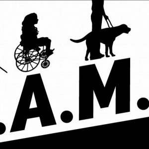 RAMP: Real Access Motivates Progress! Episode 84: Traveling with a Disability (REPLAY)
