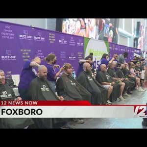 Hundreds of heads shaved at Gillette for a good cause