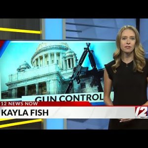 ‘Knee-jerk reaction’: Advocates rally against gun control legislation