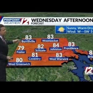 Pinpoint Weather 12