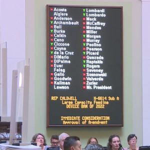 RI Senate sends 3 gun-control bills to McKee's desk