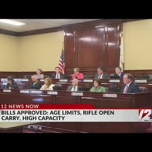 RI Senate sends 3 gun-control bills to McKee’s desk