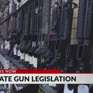 Senate negotiators announce a deal on guns, breaking logjam