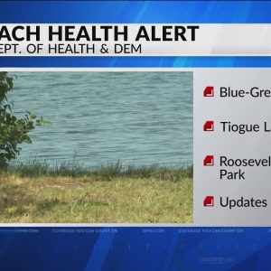 VIDEO NOW: DEM, RIDOH issue alerts for blue-green algae