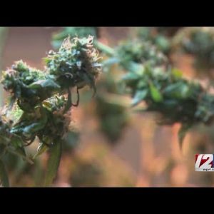 RI directing schools to plan to administer medical marijuana to students