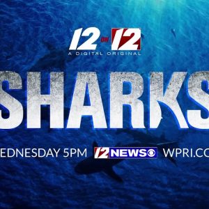12 on 12: Sharks - Exclusive Preview
