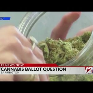 Barrington first in RI to schedule marijuana vote