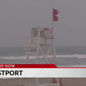 Horseneck Beach closed after Portuguese man o’ war sighting