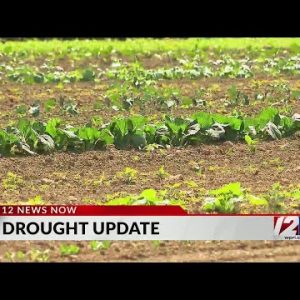 Local farmers trying to adapt with the drought