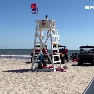 VIDEO NOW: No swimming at Westport beach due to possible fin sighting