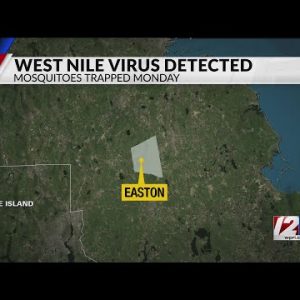 West Nile Virus detected in Mass. for 1st time this year