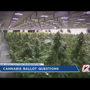 31 RI communities schedule marijuana vote