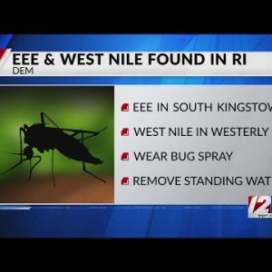 EEE and West Nile found in RI