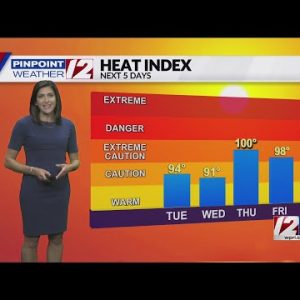 Pinpoint Weather 12 FOrecast