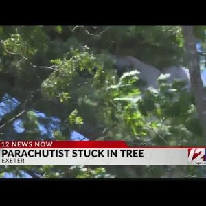 RI National Guard parachutist gets stuck in tree during jump