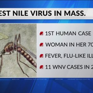 Year’s first human case of West Nile Virus found in Massachusetts