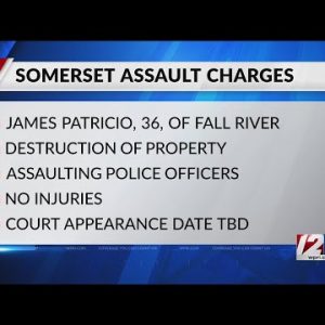 Police: Irate man assaulted, tried to disarm officers