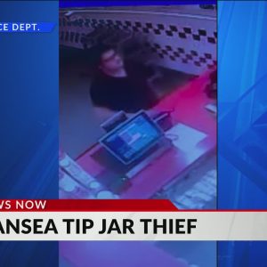 Police: Man stole tip jar from Swansea burger joint