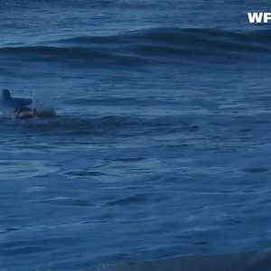 VIDEO NOW: Surfers brave waves brought on by Hurricane Fiona