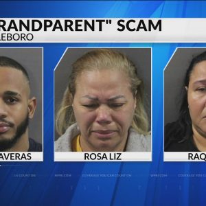 3 charged for roles in nationwide ‘grandparent scam’