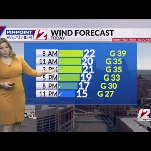 Pinpoint Weather 12 Forecast
