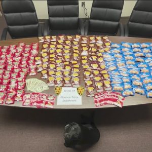 Police find 200+ edibles during Glocester traffic stop