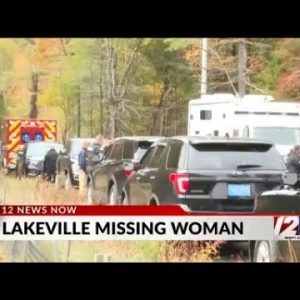 Police: Missing Lakeville woman found safe