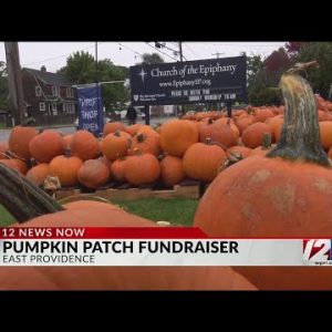 Pumpkin patch fundraiser opens in East Providence
