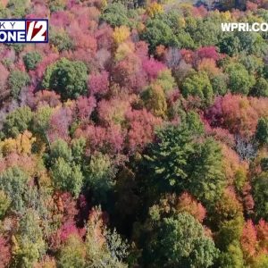 VIDEO NOW: Fall Foliage