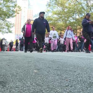 Video Now: Making Strides Against Breast Cancer Walk