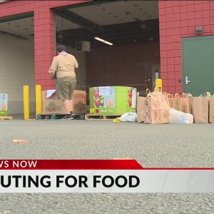 Boy Scouts canvass RI neighborhoods for food donations