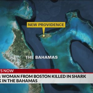 Police: American tourist killed in shark attack in Bahamas