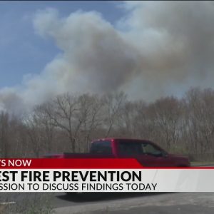 RI leaders to discuss how to prevent wildfires